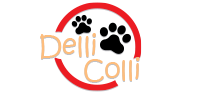 Dellicolli – Produto para Pet